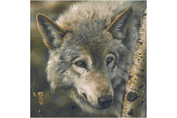 Wildlife Wolf Cross Stitch Pattern Review